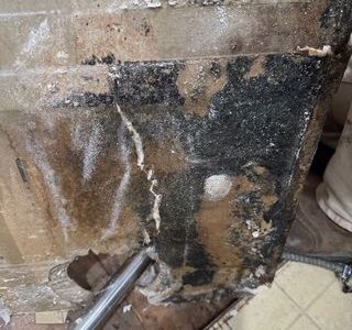 Asbestos Removal Services