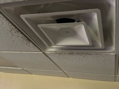 Mold Remediation Removal Services