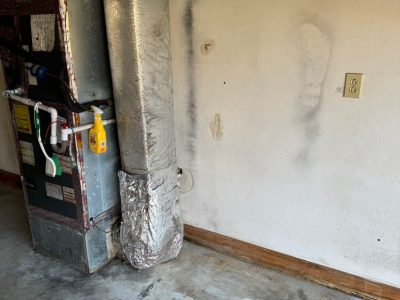 Mold Removal Services